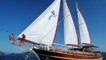 Yacht NIKOLAS -  Main